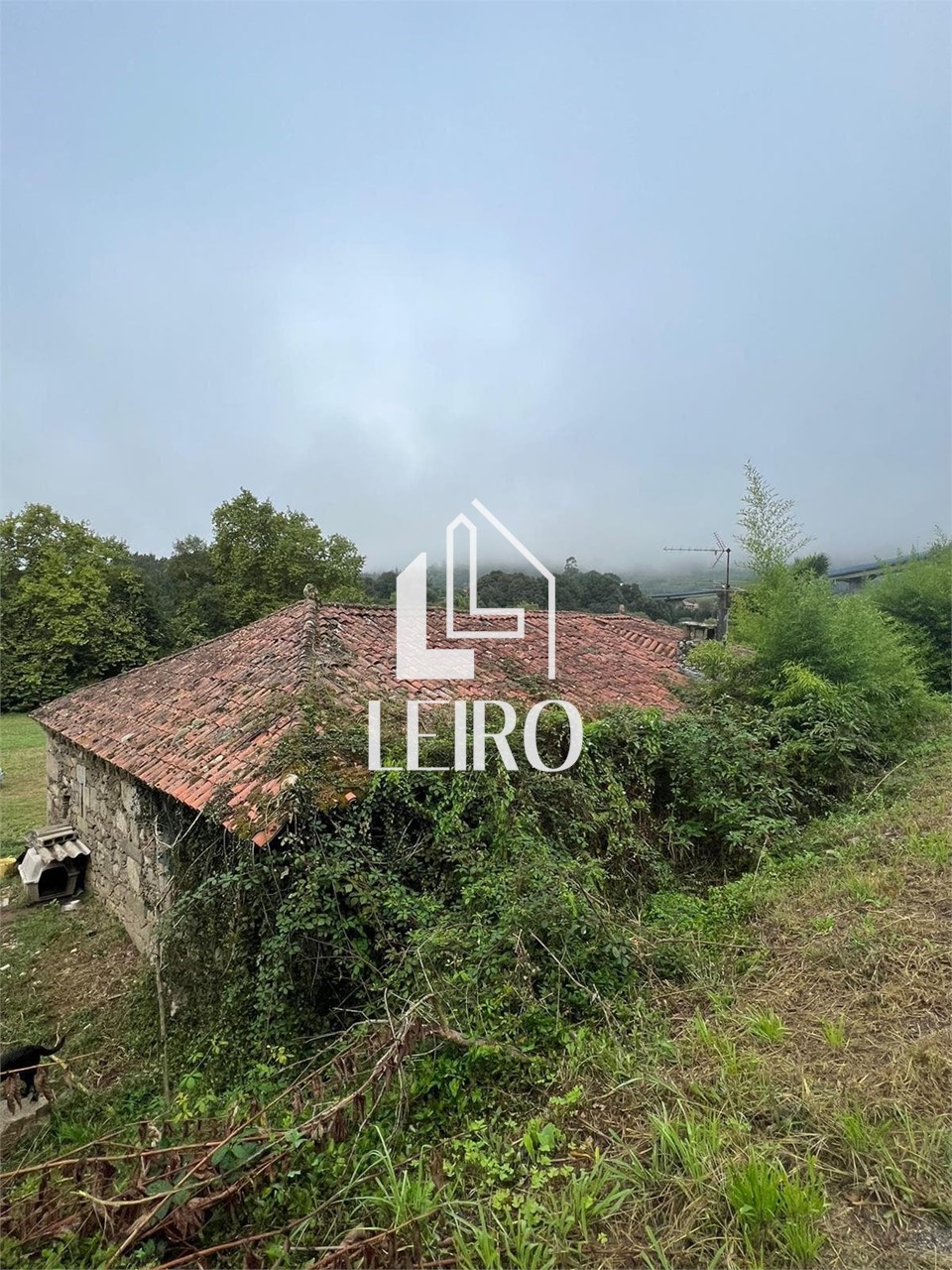 Foto 8 Casa de Piedra con 14.000 m2 Terreno en la Ribera del Río Ulla