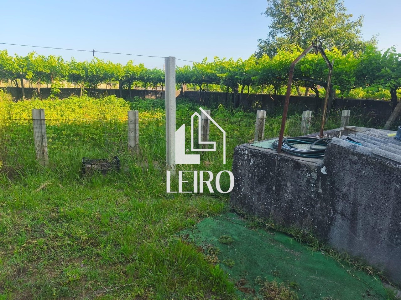 Foto 11 CASA DE PIEDRA EN PLANTA BAJA CON TERRENO 