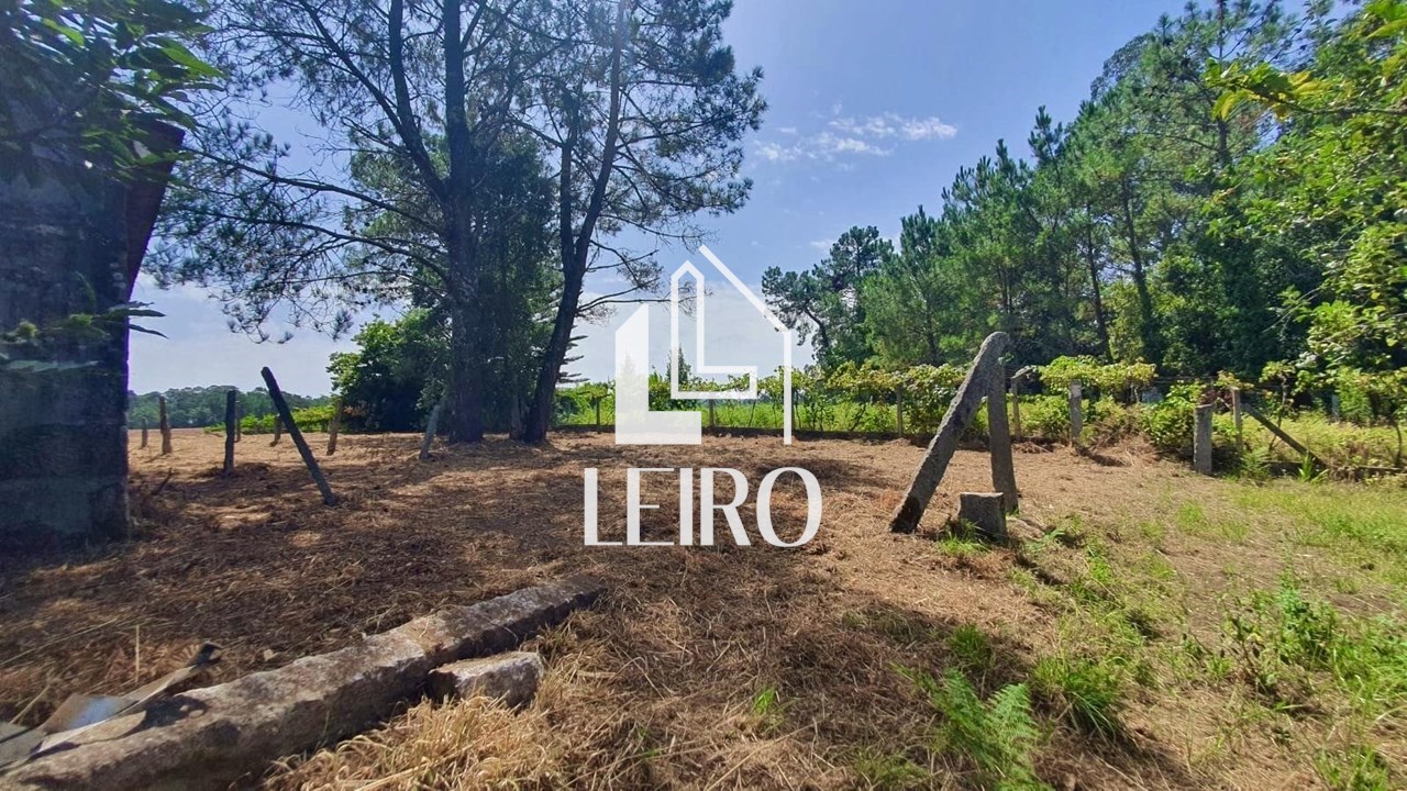 Foto 10 CASA PARA REHABILITAR CON PARCELA 