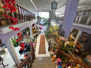 Negocio en Pleno Funcionamiento en Venta por Jubilación - Vilanova de Arousa