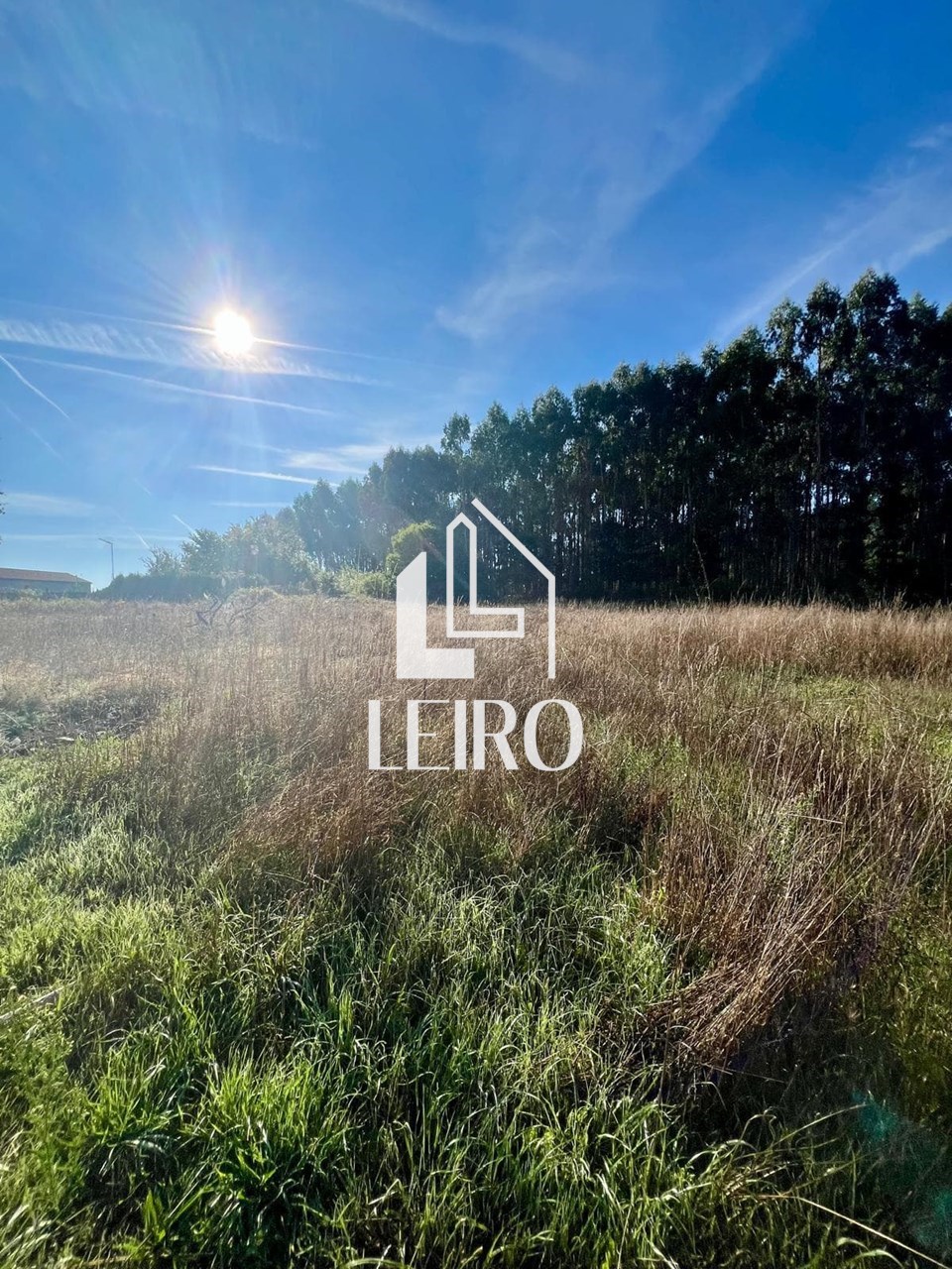 Foto 3 SOLARES EDIFICABLES PARA VIVIENDA UNIFAMILIAR A 15 MINUTOS DE SANTIAGO 