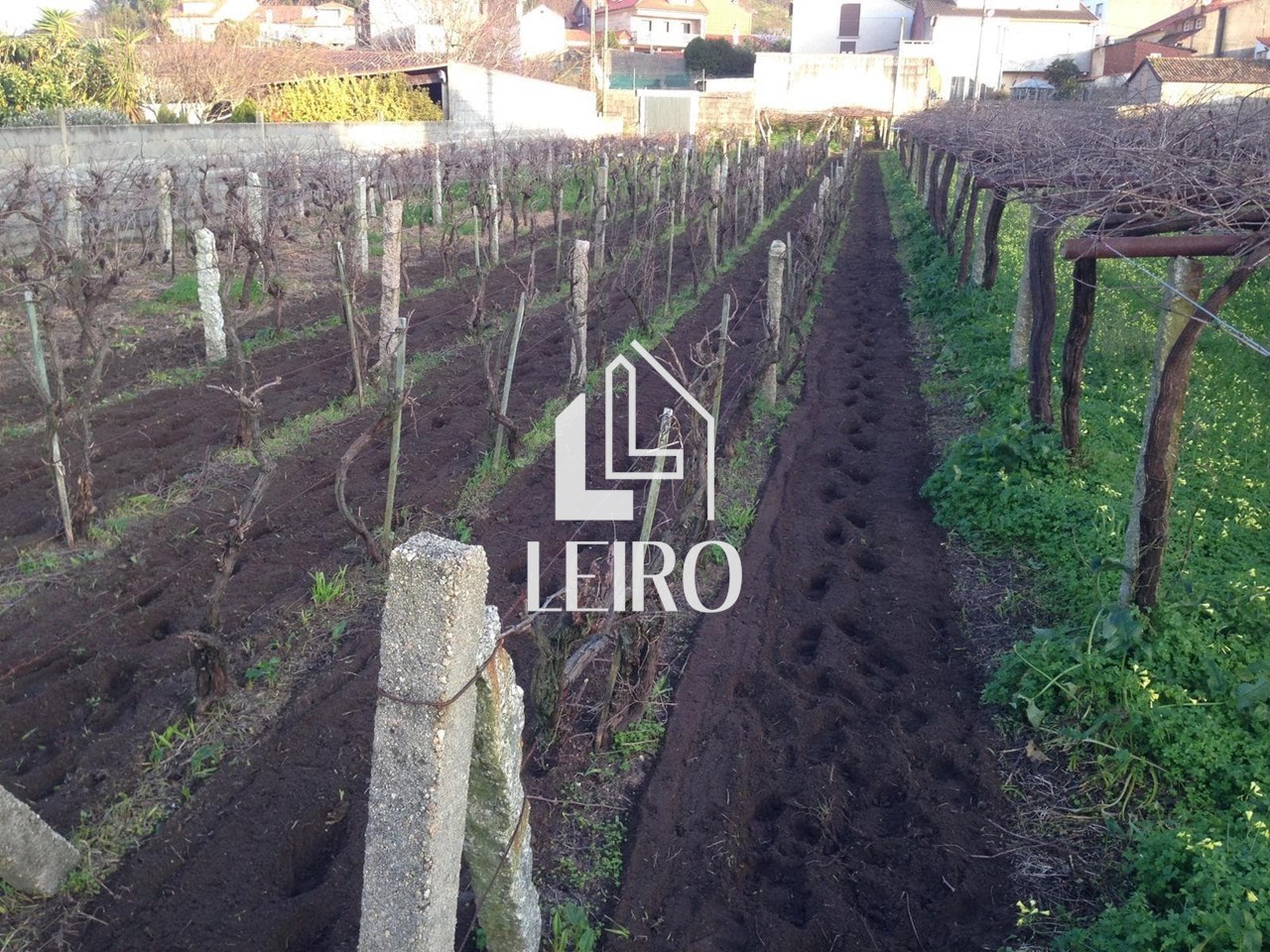 Foto 2 Terreno Céntrico No Edificable 