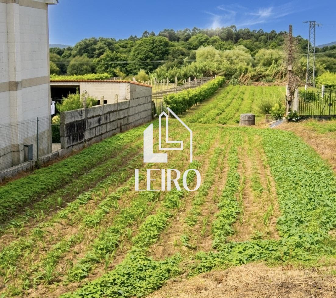 Foto 7 TERRENO CON LICENCIA Y PROYECTO 