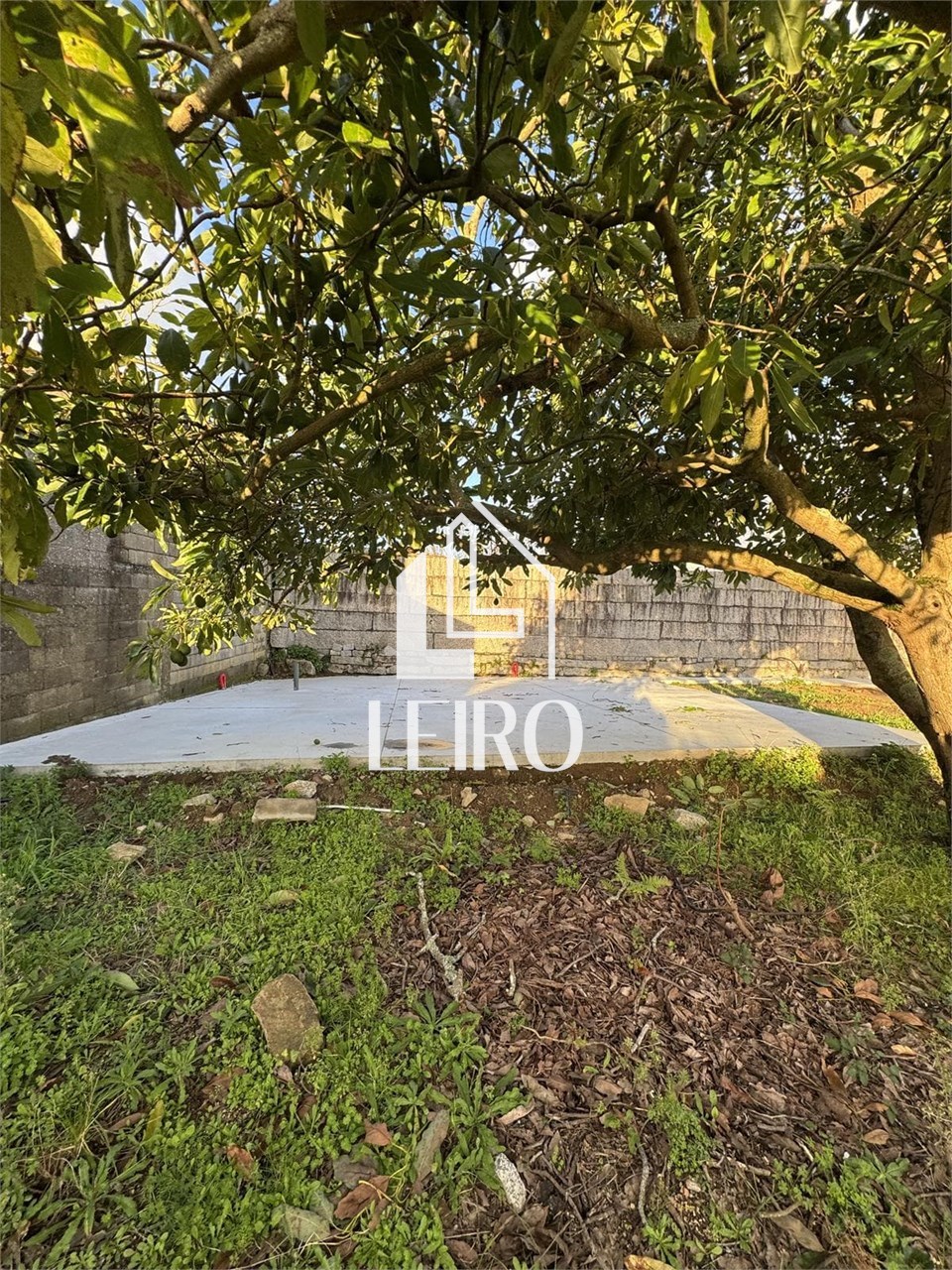 Foto 13 TERRENO EDIFCABLE CON PISCINA 