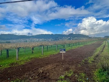 Terreno Edificable con Proyecto Básico - Meis