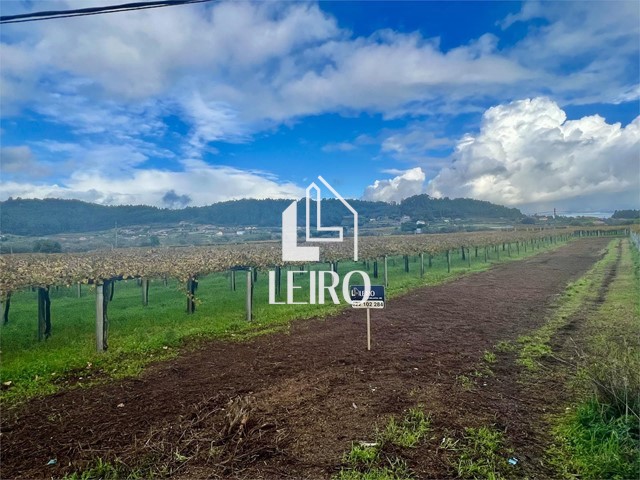 TERRENO EDIFICABLE LLANO Y SOLEADO - Meis