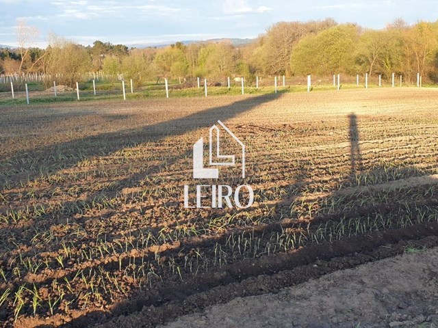 TERRENO EDIFICABLE PARA GALPON DE USO AGRÍCOLA  - Vilanova de Arousa