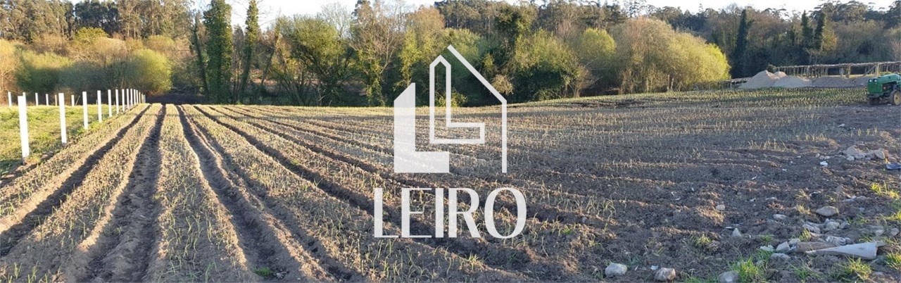 Foto 2 TERRENO EDIFICABLE PARA GALPON DE USO AGRÍCOLA 