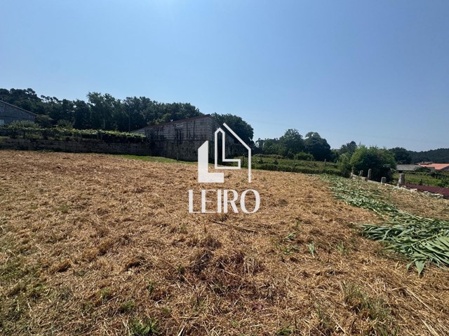 TERRENO EDIFICABLE  VIVIENDA UNIFAMILIAR  - Meis