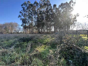 Terreno no Edificable para Cultivo - Ribadumia
