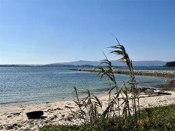 Terreno Rústico en Primera Línea de Playa - Vilanova de Arousa