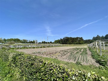 Terreno Rústico en Vilanova de Arousa